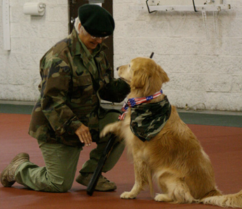 Military Themed Dance Military Themed Dance