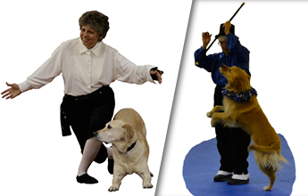 Sue with Sir, and Margie with Sunny