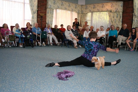 Dog Dancing